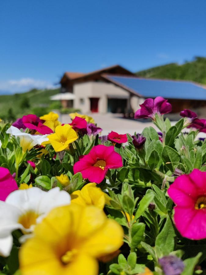 Bio Agritur Al Bait Βίλα Spormaggiore Εξωτερικό φωτογραφία